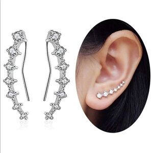 🌺🎉Silver Crystal Hook Stud G1